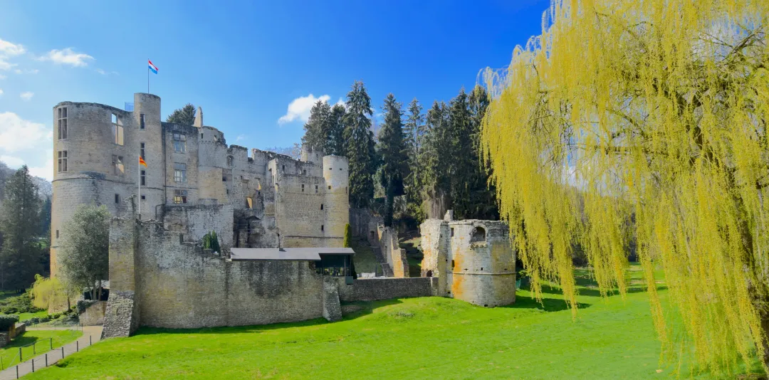 A castle in Luxembourg with a tree in front of it