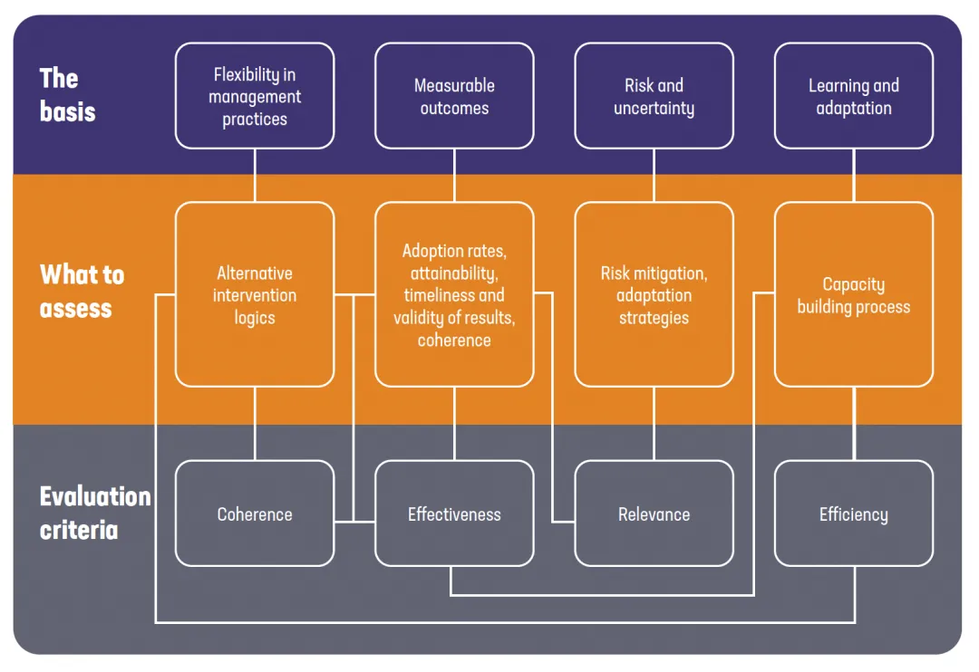 Conceptual framework of an ongoing evaluation of result-based interventions. 