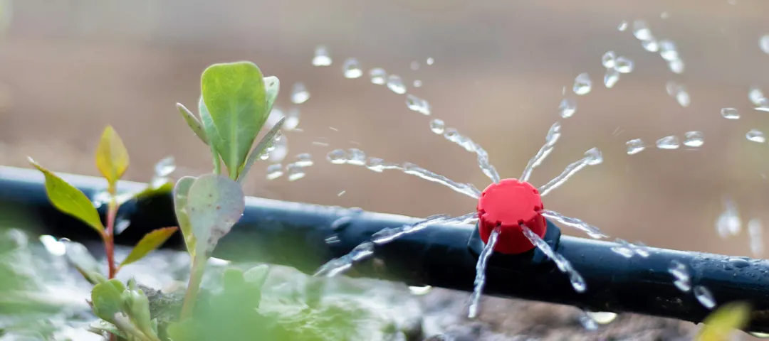 irrigation-system