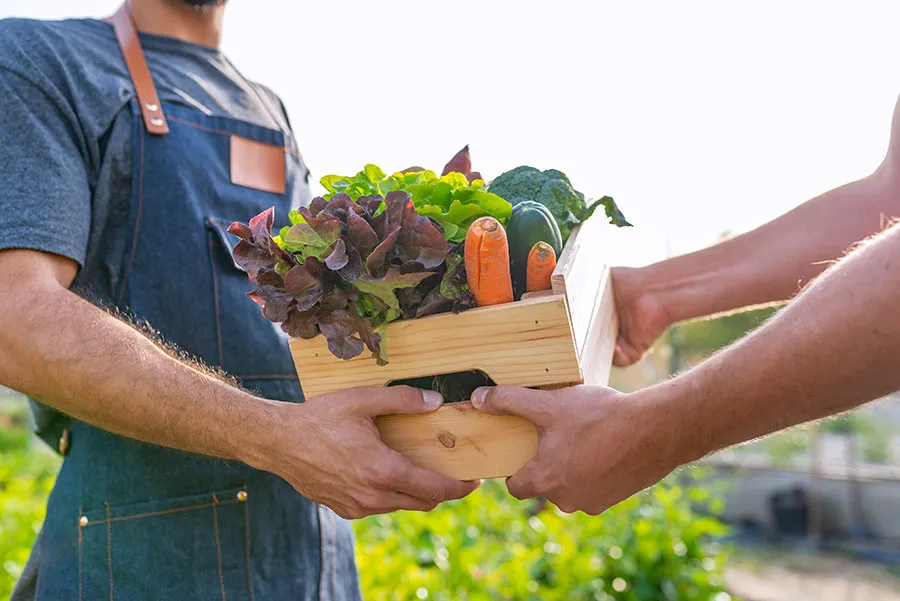 Fresh vegetables being sold at farmers market