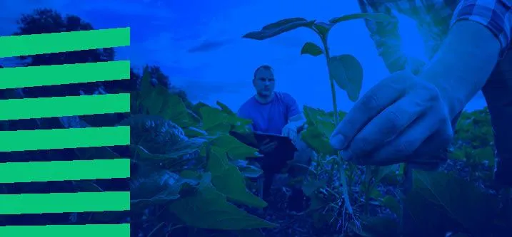 A person stands in a green field, surrounded by blue lines that create a dynamic visual effect.