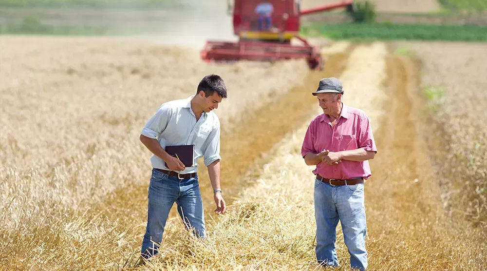 people in a field