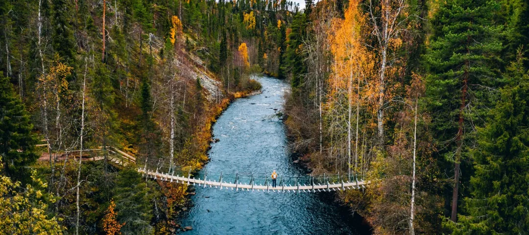 Hiker on a suspension bridge over forest river