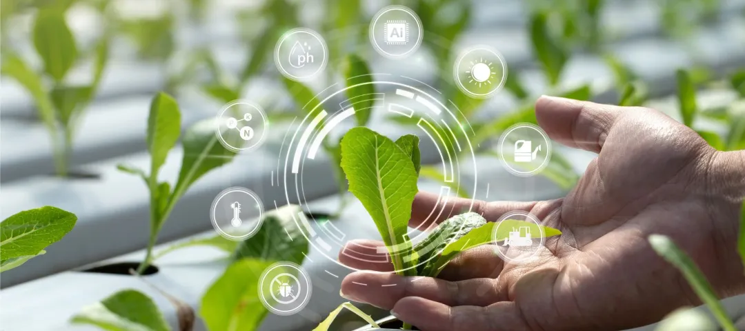 Plants with icons showing digital data about farm activity