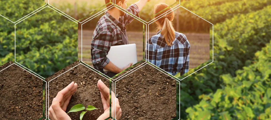 Two farmers in a field with hexagonal overlays showing soil and a seedling