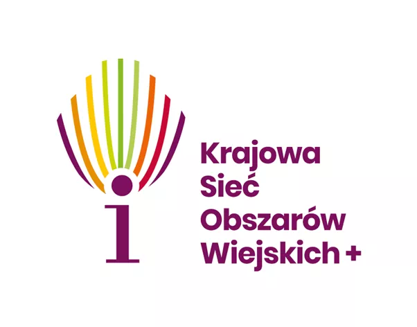 Polish Network Logo