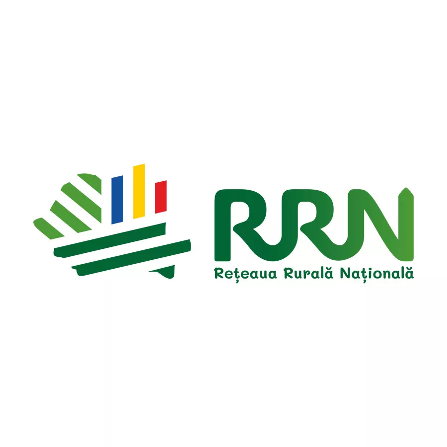 Romanian Network Logo