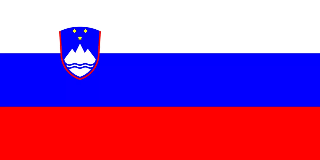 Slovenian Network Logo