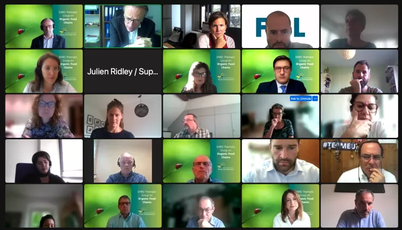 a screenshot of a video conference ta the workshop on the thematic Group on Strengthening the position of farmers in the organic food supply chain