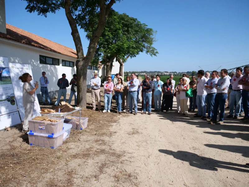 Portuguese-network PT_Picture-2