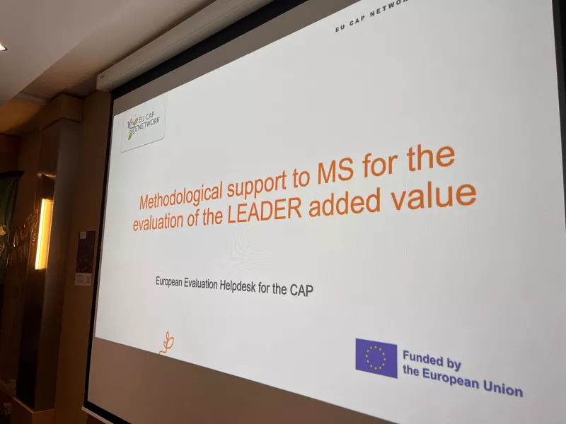 Good Practice Workshop: How to assess the LEADER added value