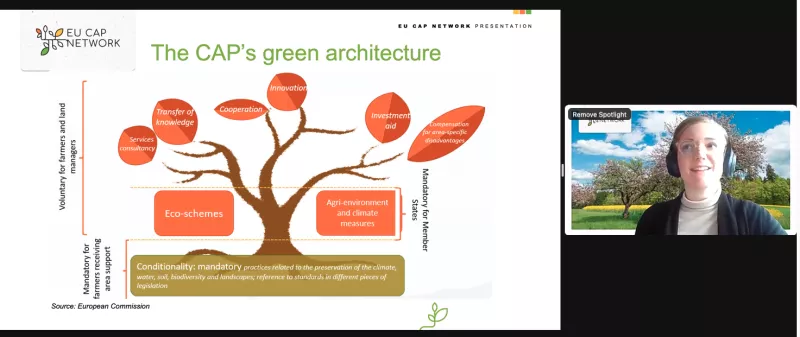 Thematic Group on Green Architecture: Designing Green Strategies