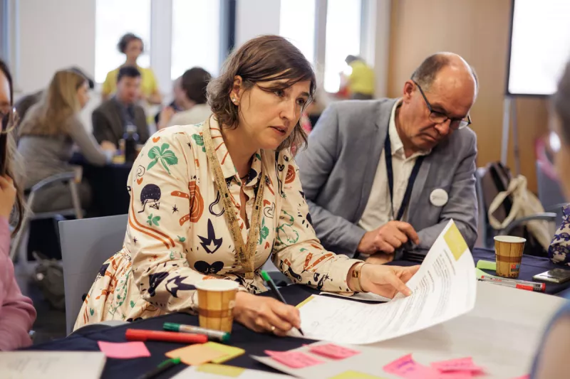 EU CAP Network conference workshop