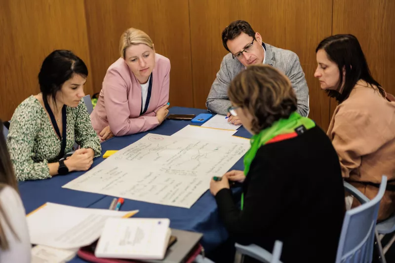 EU CAP Network conference workshop