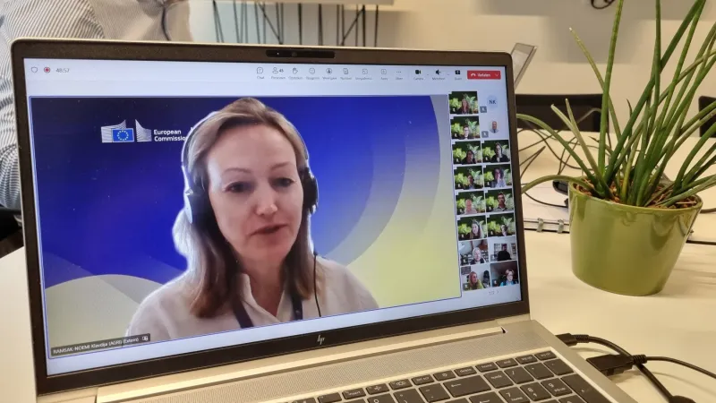 Woman presenting at Ad-hoc national expert group meeting 2025