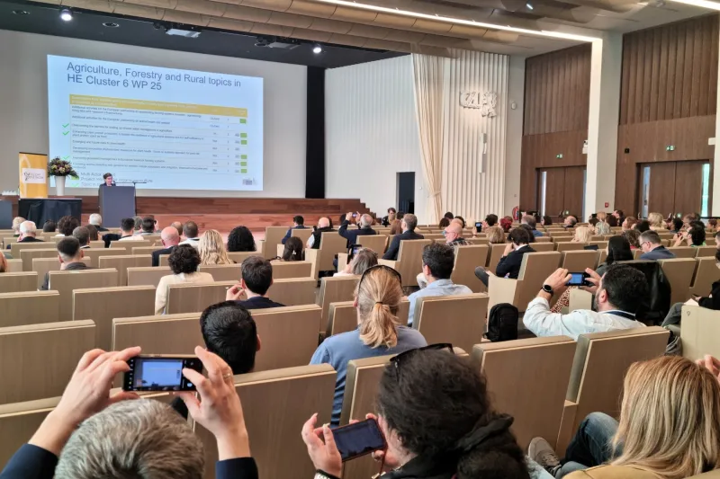 Participants of event during presentation