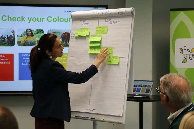 Woman pointing on a table with her ideas