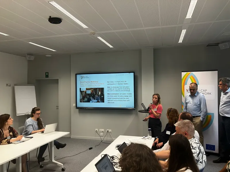 Evaluation Helpdesk presenting their activities