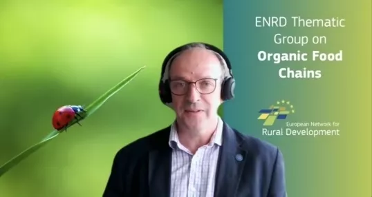 a man wearing headphones sitting before a green background during an online meeting at the Thematic Group on Strengthening the position of farmers in the organic food supply chain