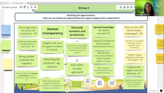 a screenshot of a computer for Thematic Group on Strengthening the position of farmers in the organic food supply chain