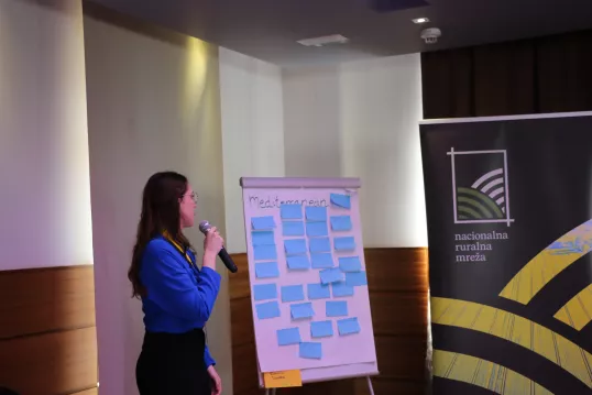 Participant at the 1st National Networks meeting presenting results in a Flipchart