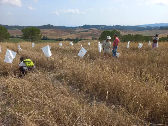 EU CAP Network cross-visit ‘Organic farming supply and value chain optimisation’