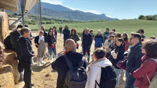 Assembling of the spanish network