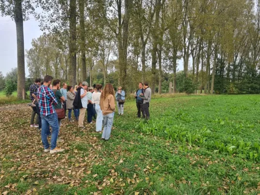 Belgium: Flemish Network Picture 3