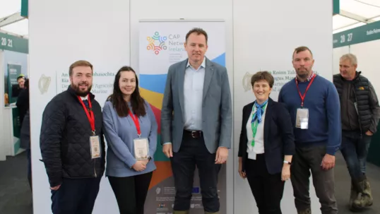 Assembling of the irish network