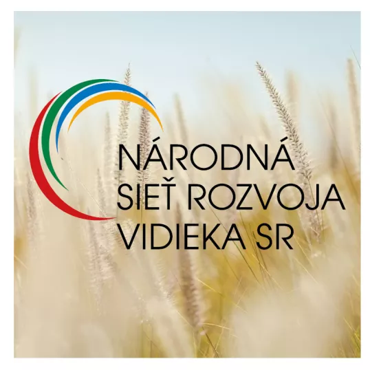 Slovak network picture 2