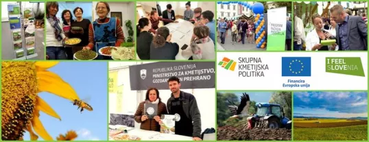 Slovenian Network Picture 1