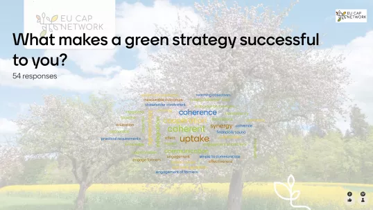 Thematic Group on Green Architecture: Designing Green Strategies