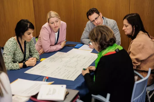 EU CAP Network conference workshop