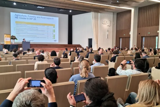Participants of event during presentation