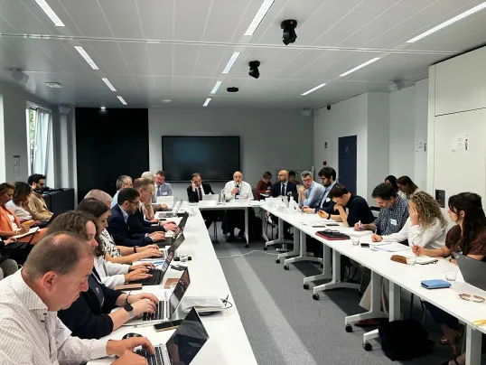 Mario Milouchev presenting at the 4th Steering Group meeting