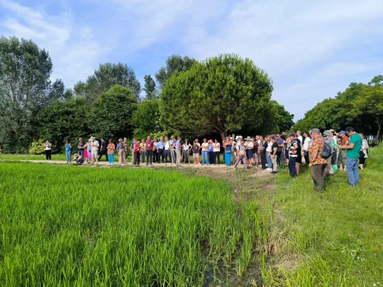Group of visitors in rice field