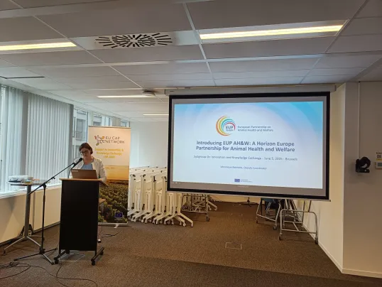 Woman presenting at 9th SOIKE meeting