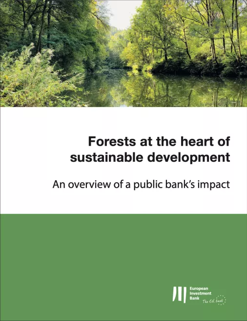 Forest at the heart of sustainable development overvierw