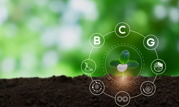 Circular Bio-Economy
