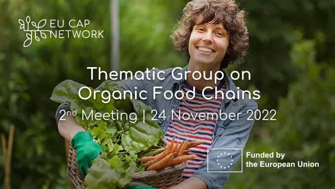 Organic Food Chains