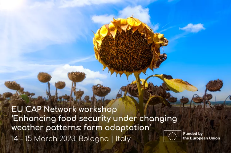 Workshop ‘Enhancing food security under changing weather patterns: farm adaptation’