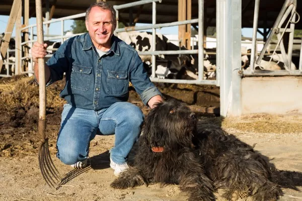 A farmer posing with his dog in front of his cow farm