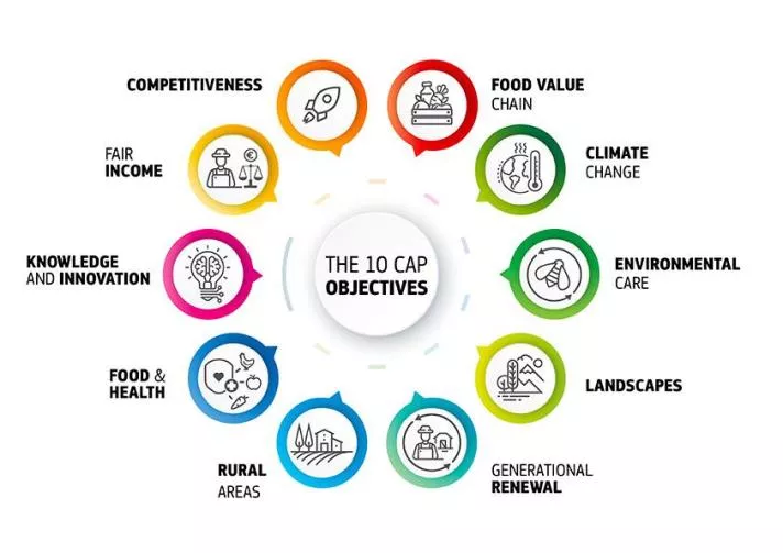 The Common Agricultural Policy: An Overview | European CAP Network