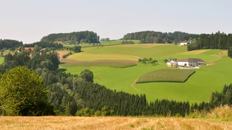 CAP Strategic Plans: New publication promotes national plans