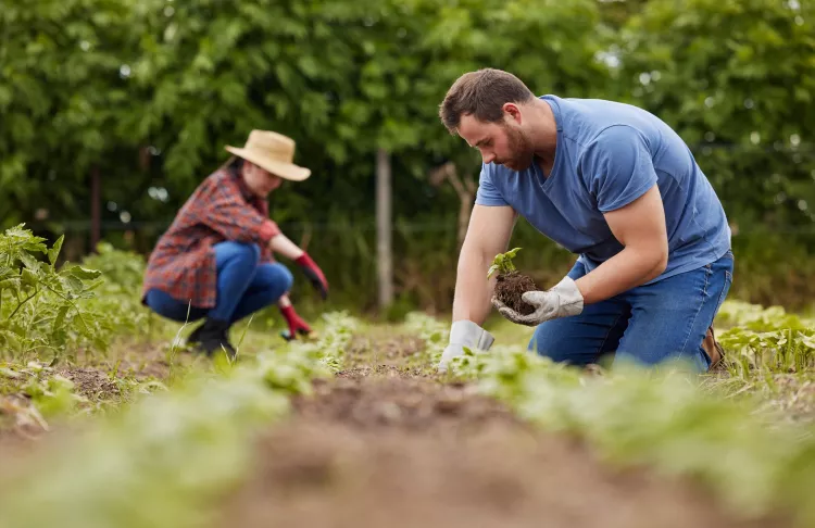 Two people working in their garden