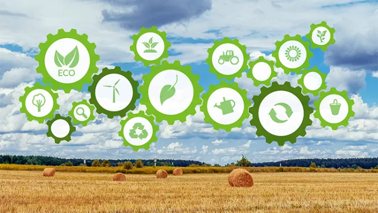 Strengthening sustainable food systems: new Policy Insight
