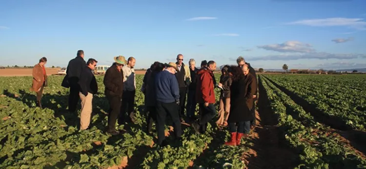 The EIP-AGRI Support Facility actions relating to fertilisers and energy