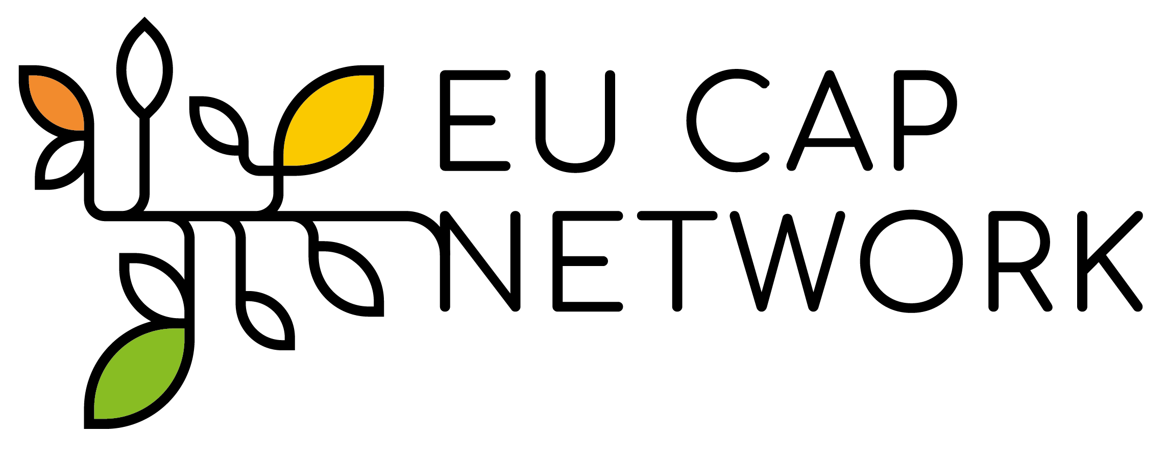 EU CAP Network logo