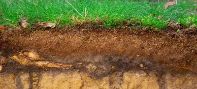 Organic layer and topsoil of a Vertisol in a spruce forest